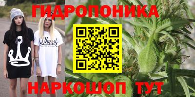 ECSTASY Коммунар
