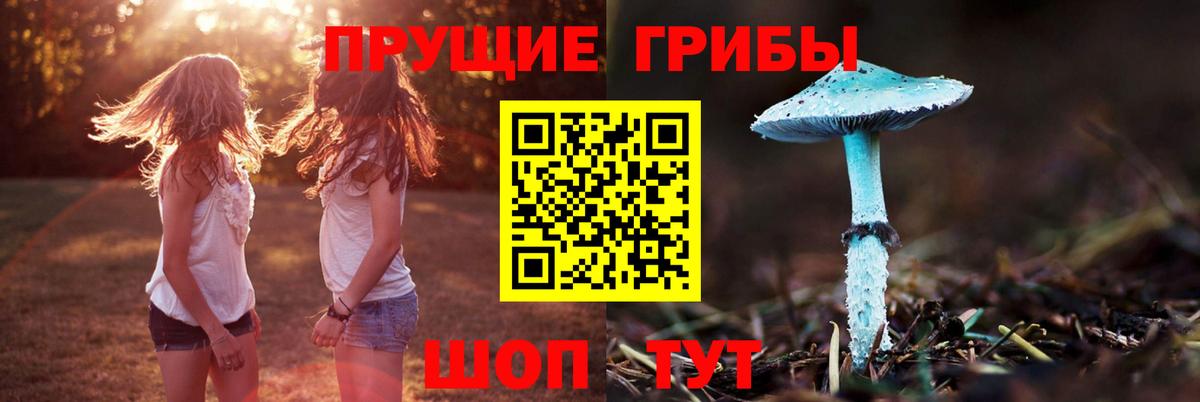 где продают   Псилоцибиновые грибы ЛСД  Чебаркуль  Вход с VPN  Галлюциногенные грибы мицелий 