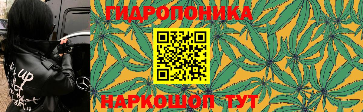 Канабис сатива Чебаркуль